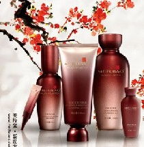 美膚寶化妝品: 加盟店策略與計(jì)算機(jī)網(wǎng)絡(luò)技術(shù)開(kāi)發(fā)的融合