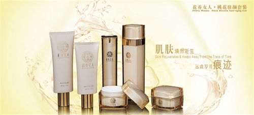 大真堂化妝品線上化之路 產(chǎn)品展示與店鋪裝修的計(jì)算機(jī)網(wǎng)絡(luò)技術(shù)開(kāi)發(fā)