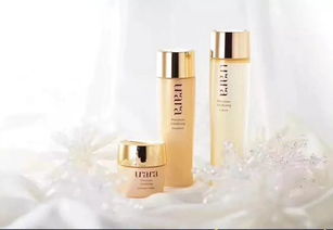 七夕甜蜜精品甄選 聚焦化妝品與計(jì)算機(jī)網(wǎng)絡(luò)技術(shù)開(kāi)發(fā)的創(chuàng)新融合